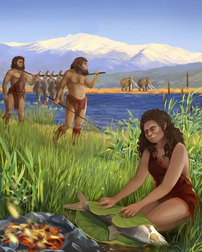 This illustration provided by Tel Aviv University depicts hominins preparing Luciobarbus longiceps fish on the shores of the ancient lake Lake Hula. A recent study found the oldest evidence of using fire to cook, dating back to 780,000 years ago. (Ella Maru/Tel Aviv University via AP)