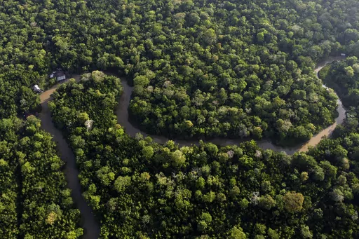 Forest lines the Combu creek, on Combu Island on the banks of the Guama River, near the city of Belem, Para state, Brazil, Aug. 6, 2023. The two-day Amazon Summit opens Tuesday, Aug. 8, 2023, in Belem, where Brazil hosts policymakers and others to discuss how to tackle the immense challenges of protecting the Amazon and stemming the worst of climate change. (AP Photo/Eraldo Peres)