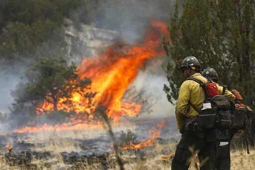 Hot shot crew members keep an eye on the blaze as fire crews ignite the underbrush off of Forest Road 545B in an effort to contain the Pipeline Fire near Flagstaff, Arizona on June 15, 2022. Firefighter groups are applauding steps taken by the Biden administration to temporarily raise wages for the men and women on the front lines of the nation's largest wildfires. (Rachel Gibbons/Arizona Daily Sun via AP, File)