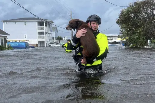 In this image provided by the Wilmington, N.C., Fire Department, a firefighter carries a dog through floodwaters, Monday, Sept. 16, 2024, in Kure Beach, N.C., (Wilmington Fire Department via AP)
