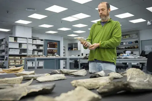 In this photo provided by the Spanish National Research Council (CSIC), researcher Ignacio de la Torre holds a bone tool found in Tanzania's Olduvai Gorge, at the CSIC-Pleistocene Archaeology Lab in Madrid in 2023. (Angeliki Theodoropoulou/CSIC via AP)