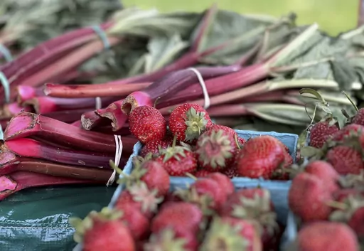 This June 3, 2023, image provided by Jessica Damiano shows farm-fresh strawberries and rhubarb for sale in Glen Cove, N.Y. (Jessica Damiano via AP)