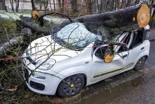 A car is destroyed by a fallen tree after a storm in Schwerin, Germany, Monday, Feb. 21, 2022. A series of storms have hit northern Europe in recent days.( Jens Buettner/dpa via AP)