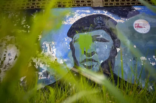 Grass grows around a mural of the late President Hugo Chavez's in his home state of Barinas, in Barinas, Venezuela, Friday, Jan. 7, 2022. The country's highest court disqualified opposition candidate Freddy Superlano as he was leading the count in November's gubernatorial election in Barinas, apparently defeating Chávez's brother, Argenis Chavez, and ordered a re-run on Jan. 9. (AP Photo/Matias Delacroix)