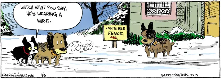 Zack Hill for Jan 05, 2022