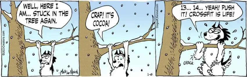 Dogs of C-Kennel for Jan 06, 2025