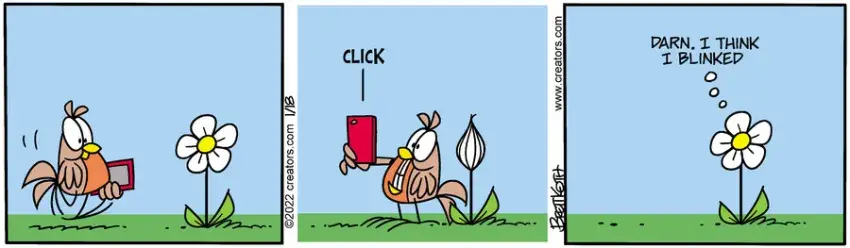 Diamond Lil for Jan 18, 2022