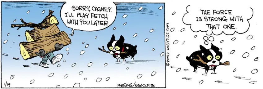 Zack Hill for Jan 19, 2022