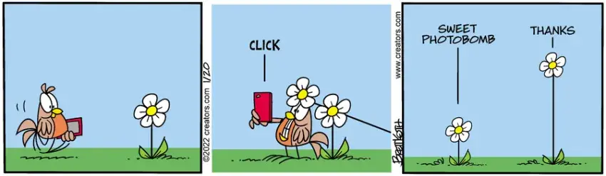 Diamond Lil for Jan 20, 2022