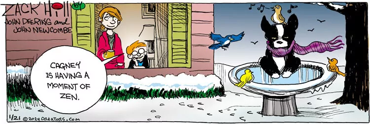 Zack Hill for Jan 21, 2024