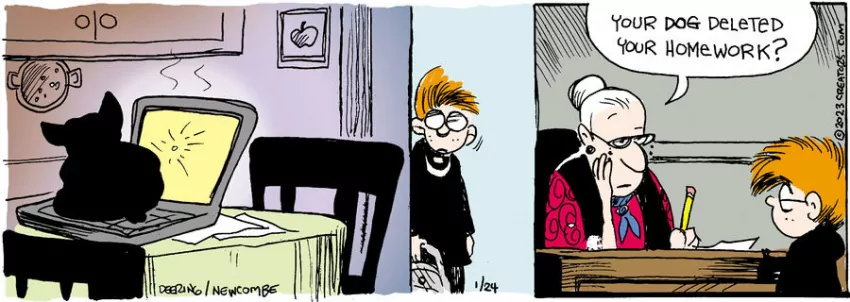 Zack Hill for Jan 24, 2023