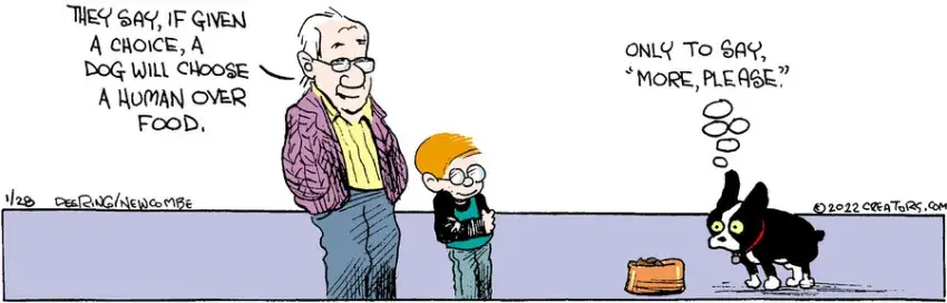 Zack Hill for Jan 28, 2022