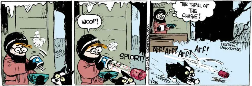 Zack Hill for Jan 28, 2023