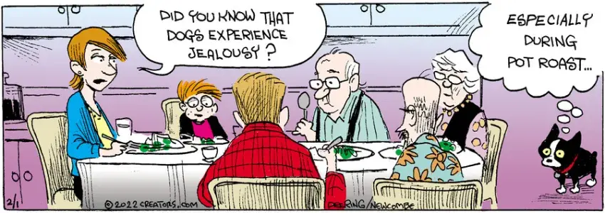 Zack Hill for Feb 01, 2022