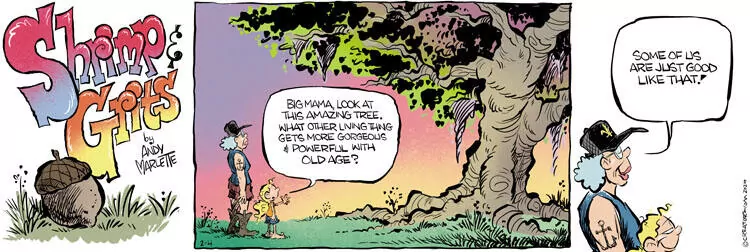 Shrimp and Grits for Feb 04, 2024