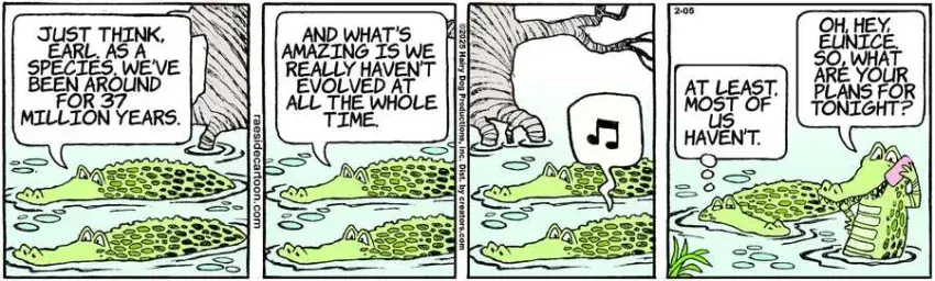 The Other Coast for Feb 05, 2025