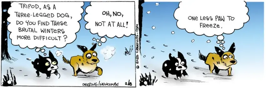 Zack Hill for Feb 08, 2025