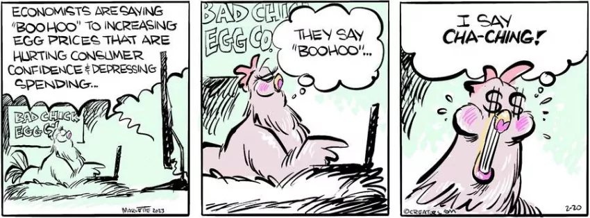 Shrimp and Grits for Feb 20, 2023