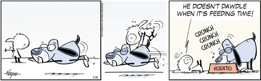 The Barn for Feb 22, 2025