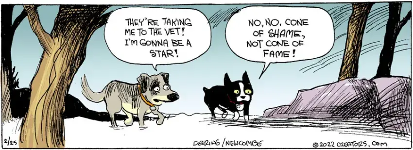 Zack Hill for Feb 25, 2022