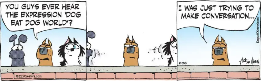 Dogs of C-Kennel for Feb 26, 2025