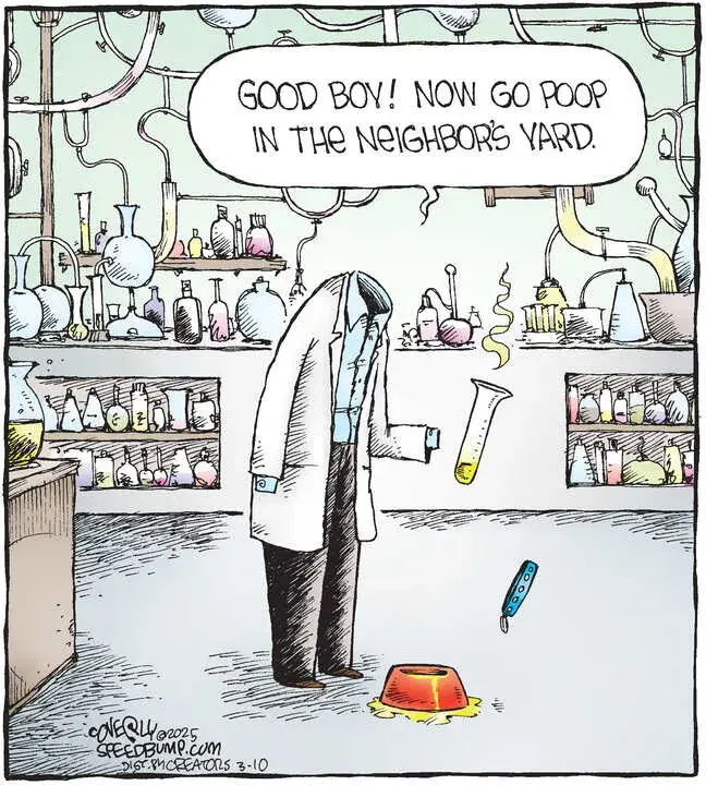 Speed Bump for Mar 10, 2025