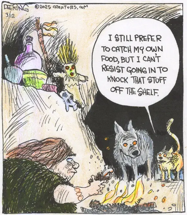 Strange Brew for Mar 12, 2025