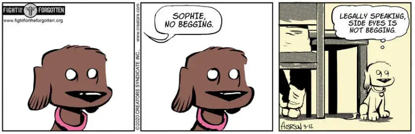 Dog Eat Doug for Mar 12, 2025