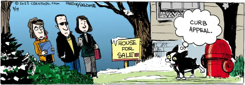 Zack Hill for Mar 19, 2022