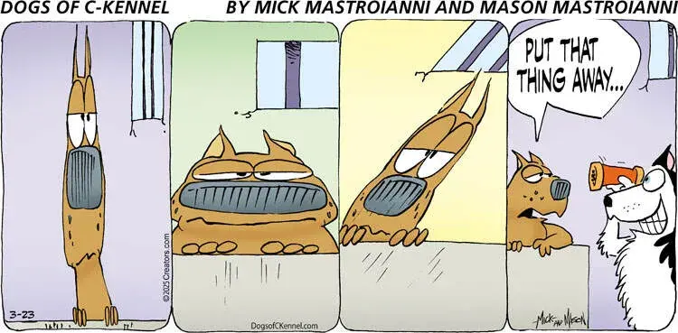 Dogs of C-Kennel for Mar 23, 2025