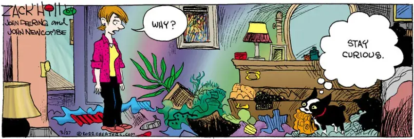 Zack Hill for Mar 27, 2022