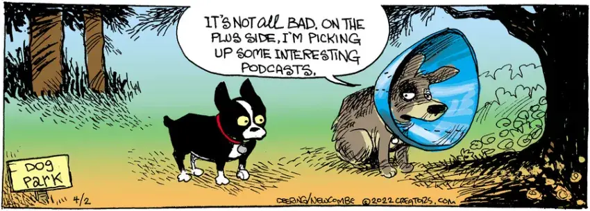 Zack Hill for Apr 02, 2022