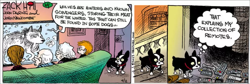 Zack Hill for Apr 02, 2023