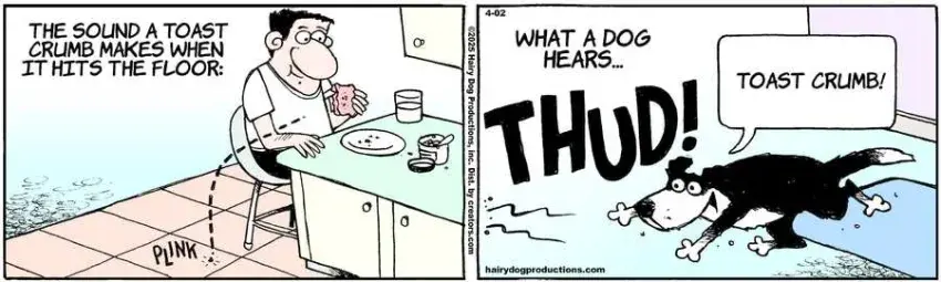 The Other Coast for Apr 02, 2025