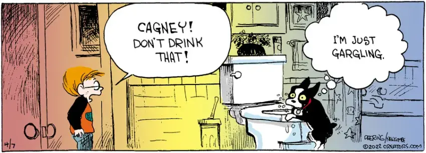 Zack Hill for Apr 07, 2022