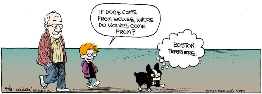 Zack Hill for Apr 08, 2022