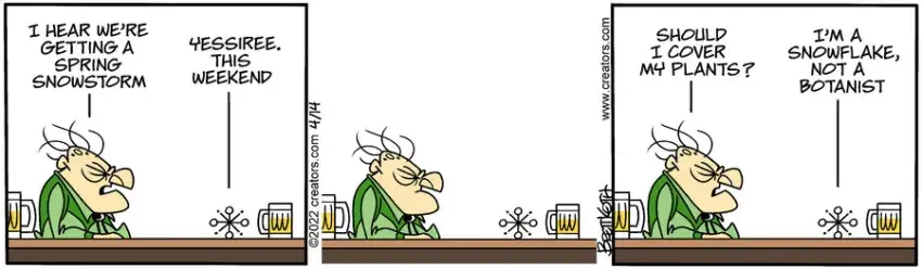 Diamond Lil for Apr 14, 2022