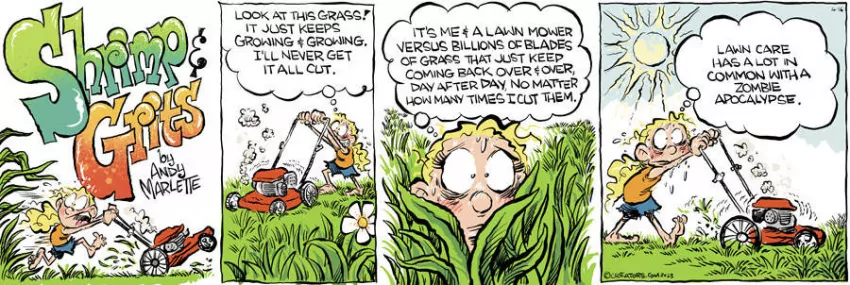 Shrimp and Grits for Apr 16, 2023