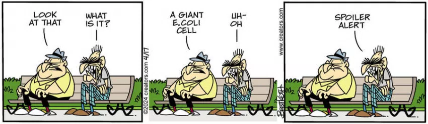 Diamond Lil for Apr 17, 2024