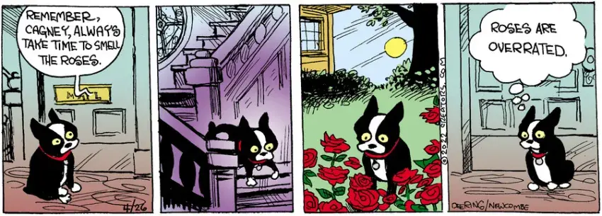 Zack Hill for Apr 26, 2022