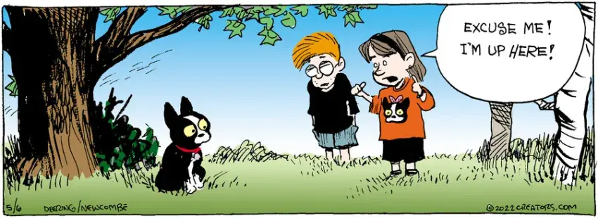 Zack Hill for May 06, 2022