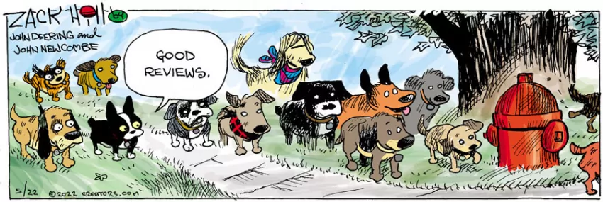 Zack Hill for May 22, 2022