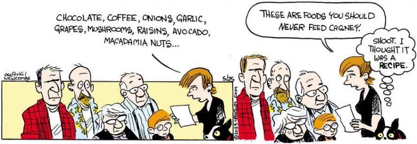 Zack Hill for May 25, 2023