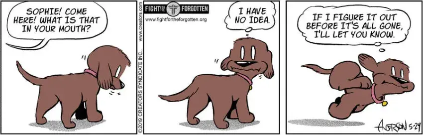 Dog Eat Doug for May 29, 2024