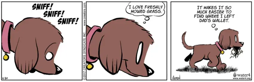 Dog Eat Doug for May 30, 2022