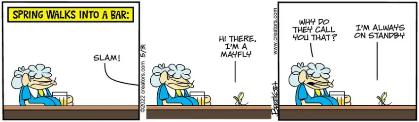 Diamond Lil for May 31, 2022