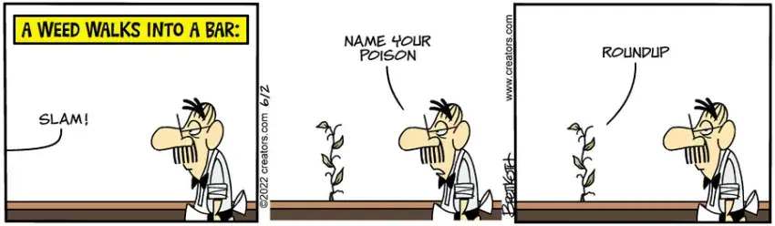 Diamond Lil for Jun 02, 2022