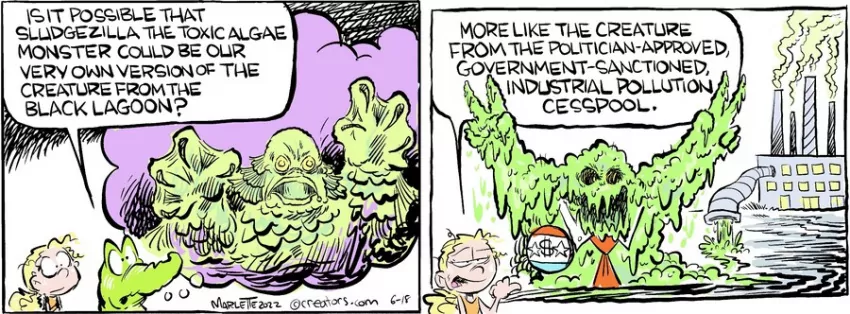 Shrimp and Grits for Jun 18, 2022