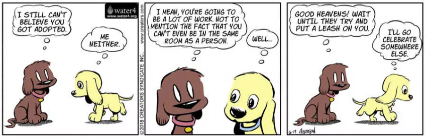 Dog Eat Doug for Jun 19, 2023