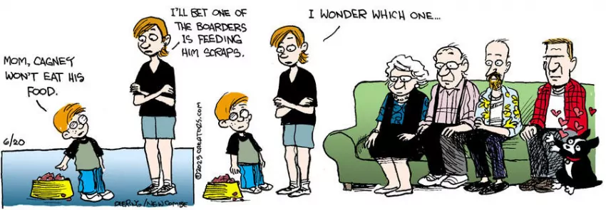 Zack Hill for Jun 20, 2023